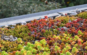 the cost of Churchstoke green roof installation
