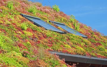 Churchstoke living roof systems