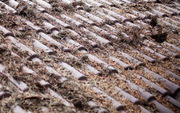 Churchstoke roof cleaning companies